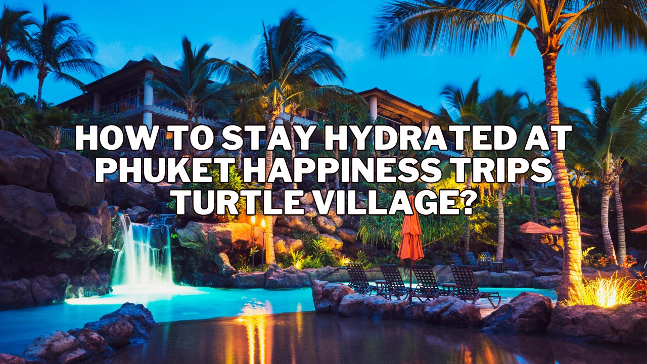 How to stay hydrated in phuket happiness trips turtle village?