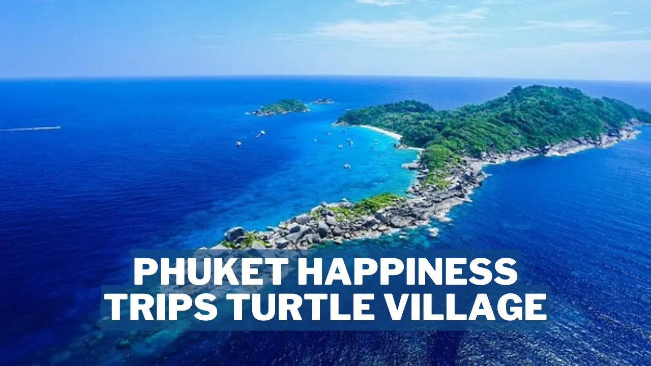 phuket happiness trips turtle village