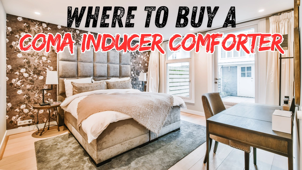 Where to Buy a Coma Inducer Comforter